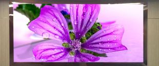 連鎖火鍋店老板哭訴：門頭LED廣告機讓我多賺了110萬，但千萬別學我踩這3個坑！”