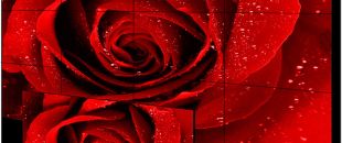 “奢侈品店櫥窗革命:LED透明屏如何讓商品'懸浮'在空中?